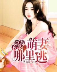 萌妻哪里逃第几集离婚