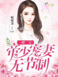 一婚二宝：帝少宠妻无节制小说封面