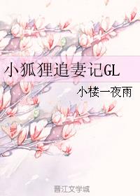 小狐狸追妻记GL小说封面