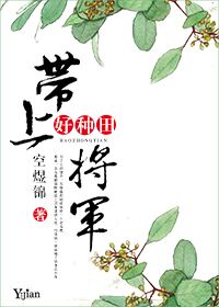 带上将军好种田小说封面