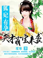 绝色狐妃一胎两宝：天才萌宝来袭小说封面