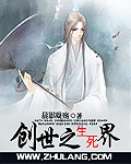 创世之生死界小说封面