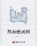 都市燃灵师小说封面