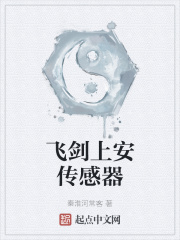 飞剑上安传感器