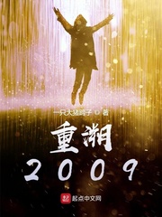 重溯2009小说封面