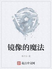 镜像的魔法