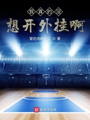 我真的没想开外挂啊