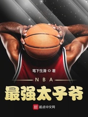 NBA最强太子爷小说封面