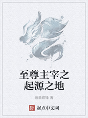 至尊主宰之起源之地