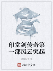 印堂剑传奇第一部风云突起