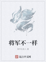 将军不一样小说封面