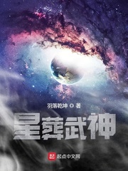 星葬武神小说封面