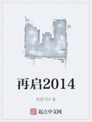 再启2014小说封面