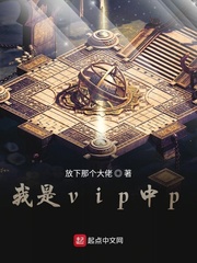 我是vip中p小说封面