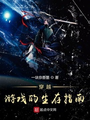 穿越游戏的生存指南