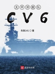 太平洋舰队CV6小说封面