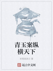 青玉案纵横天下