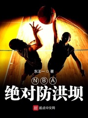 NBA绝对防洪坝小说封面