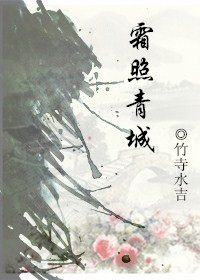 霜照青城hl