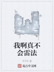 我啊真不会雷法
