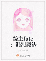 综主fate