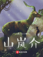 山岚介