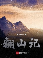 翻山记小说封面