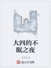 大四的不眠之夜