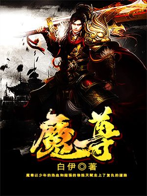 魔尊小说封面