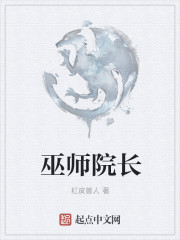 巫师院长小说封面