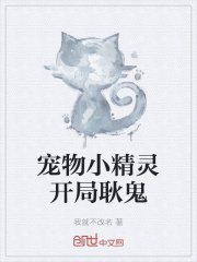宠物小精灵开局耿鬼