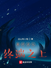 最终进化：终端之上