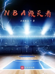 NBA毁灭者小说封面