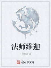 法师维迦小说封面