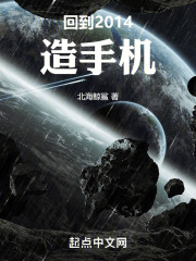 回到2014造手机