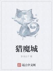 猎魔城小说封面