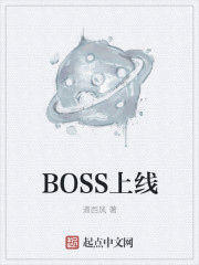 BOSS上线小说封面