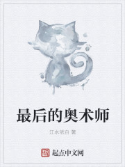 最后的奥术师小说封面