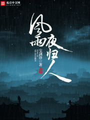 风雨夜归人解读