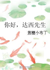 你好达西先生小说