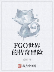 FGO世界的传奇冒险小说封面