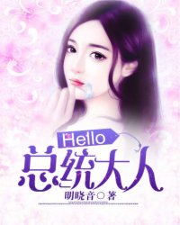 Hello，总统大人！小说封面