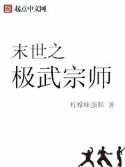 末世之极武宗师小说封面