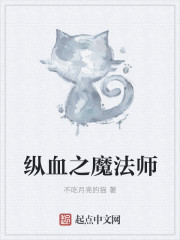 纵血之魔法师小说封面