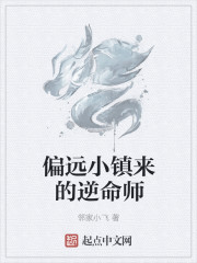 偏远小镇来的逆命师小说封面