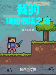 我的模组收集之路