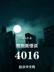 规则类怪谈：4016小说封面