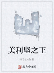 美利坚之王