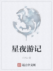 星夜游记