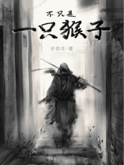 不只是一只猴子